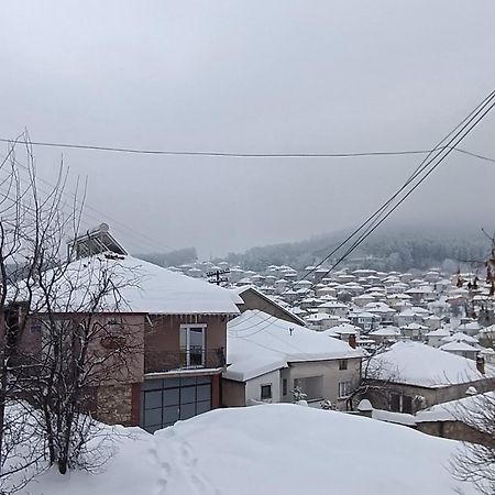 KruševoCasa Mular住宿加早餐旅馆 外观 照片